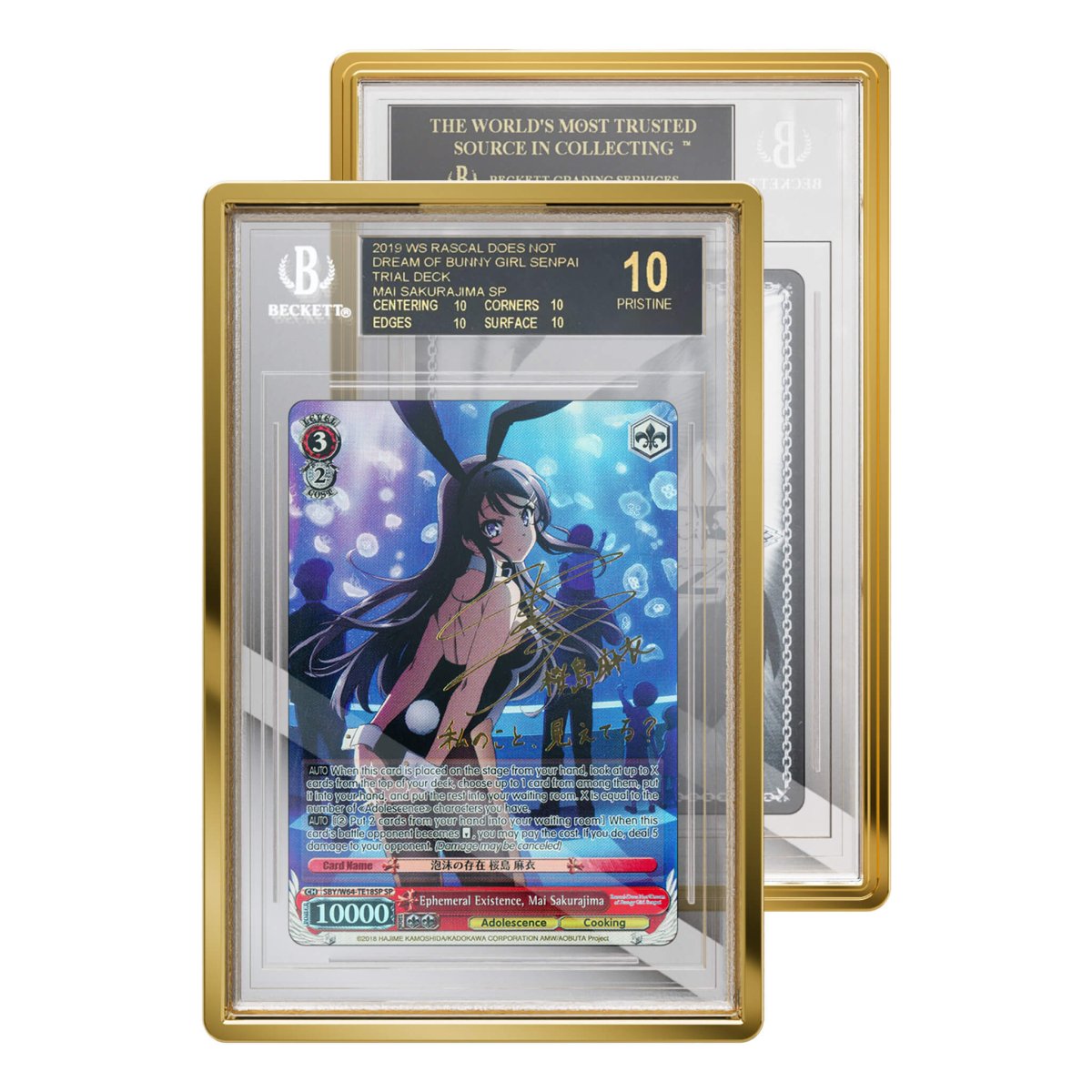 GradedGuard BGS Limited Edition Case