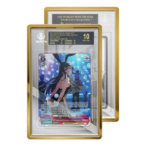 GradedGuard BGS Limited Edition Case