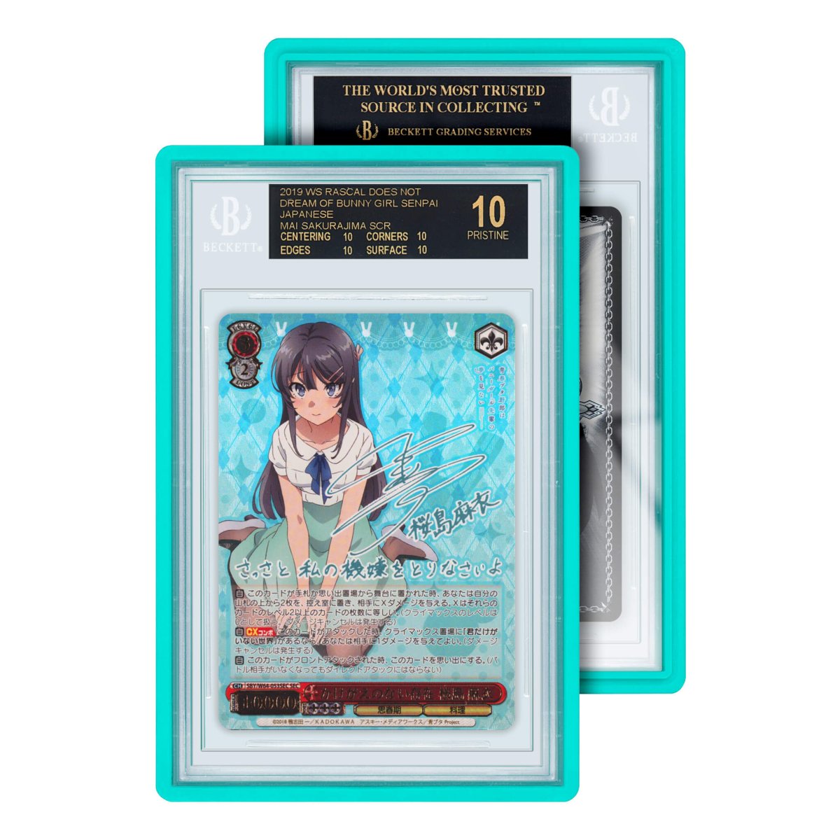 GradedGuard BGS Standard Case