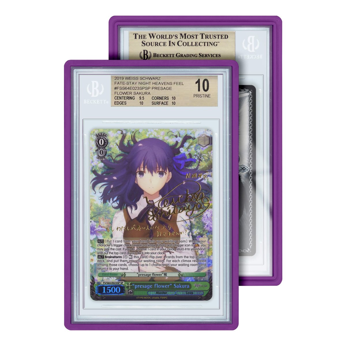 GradedGuard BGS Standard Case