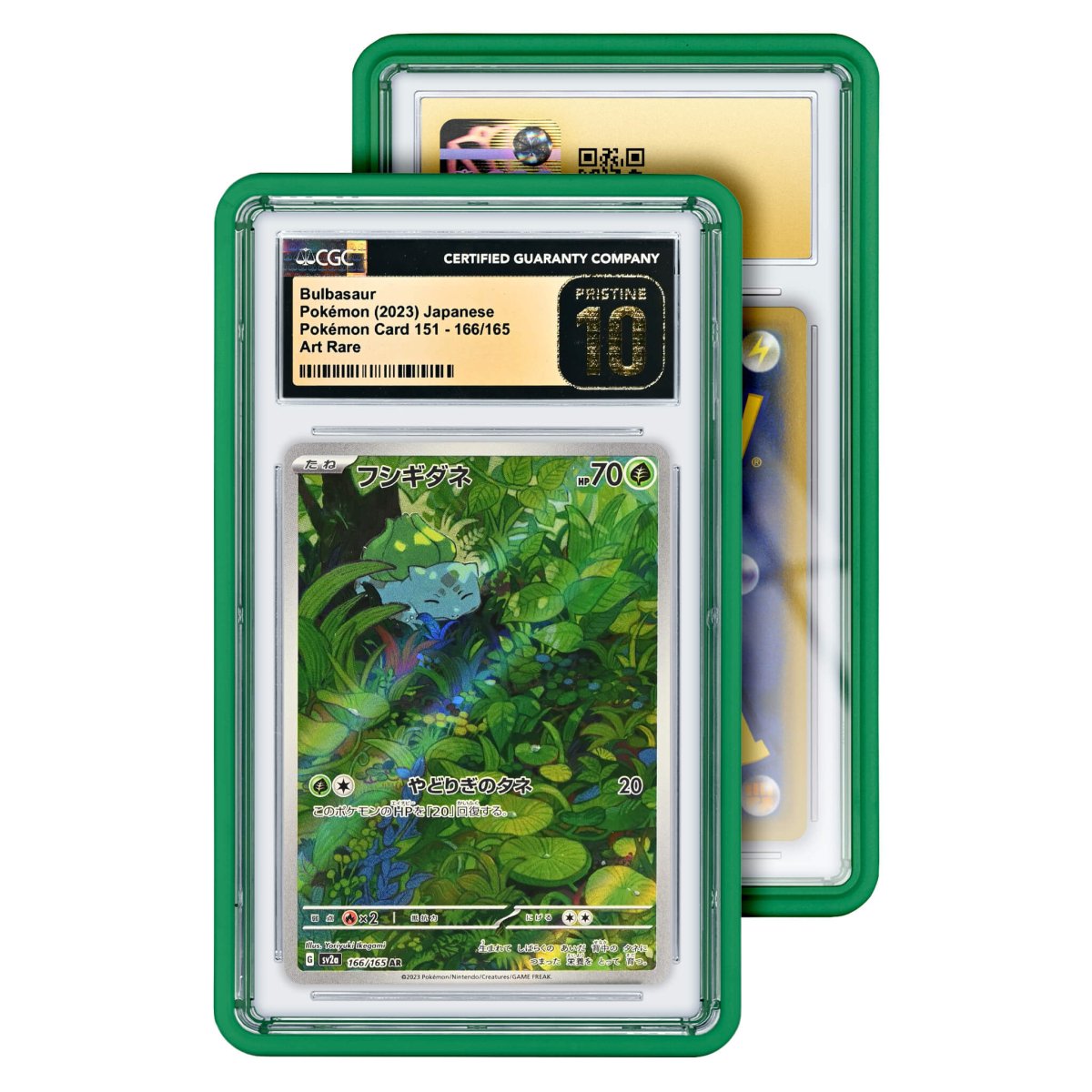 GradedGuard CGC Standard Case