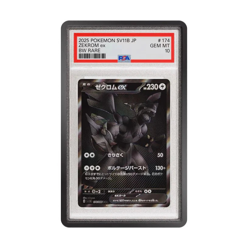 GradedGuard PSA Limited Edition Case